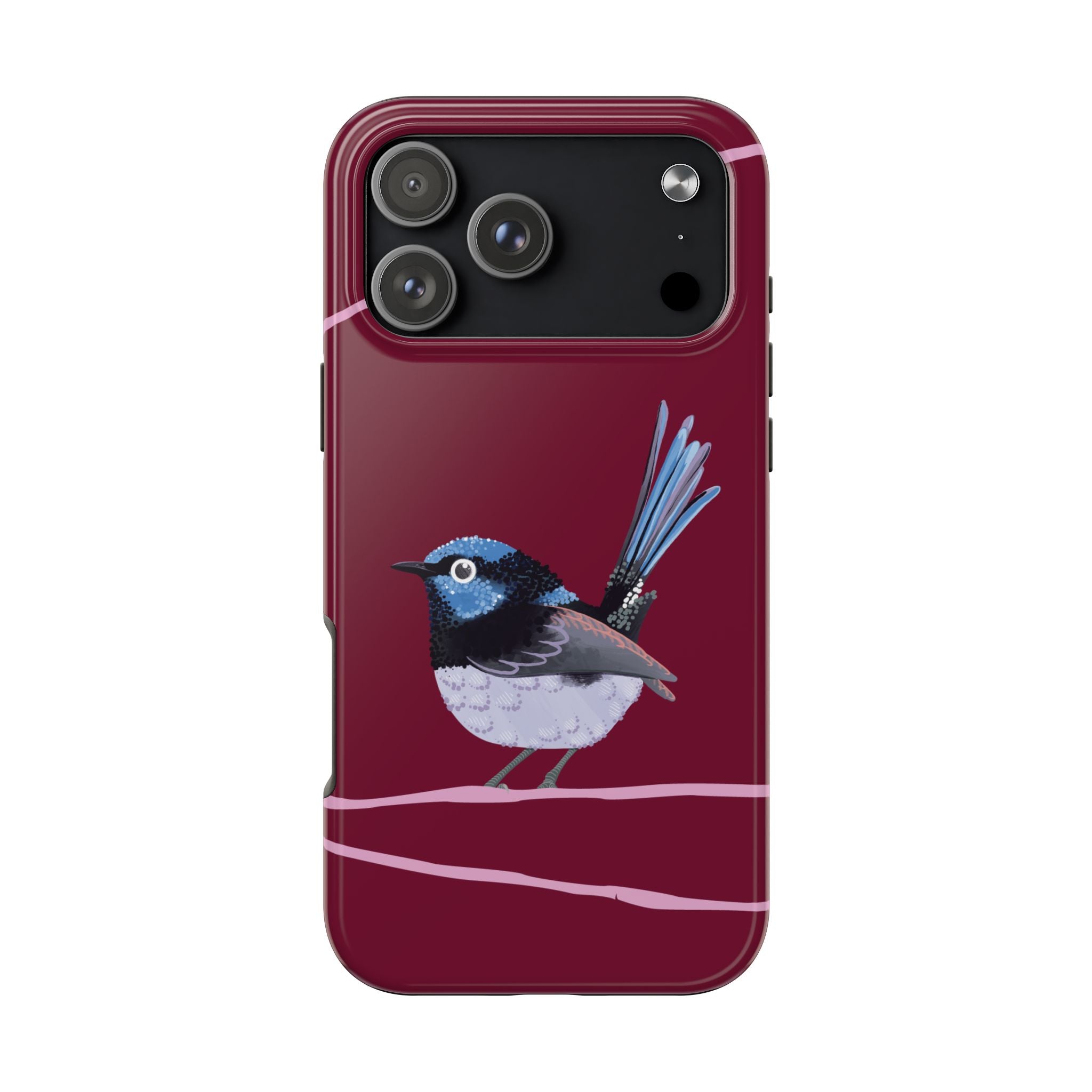 Fairy Wren by Bailey Hunter
