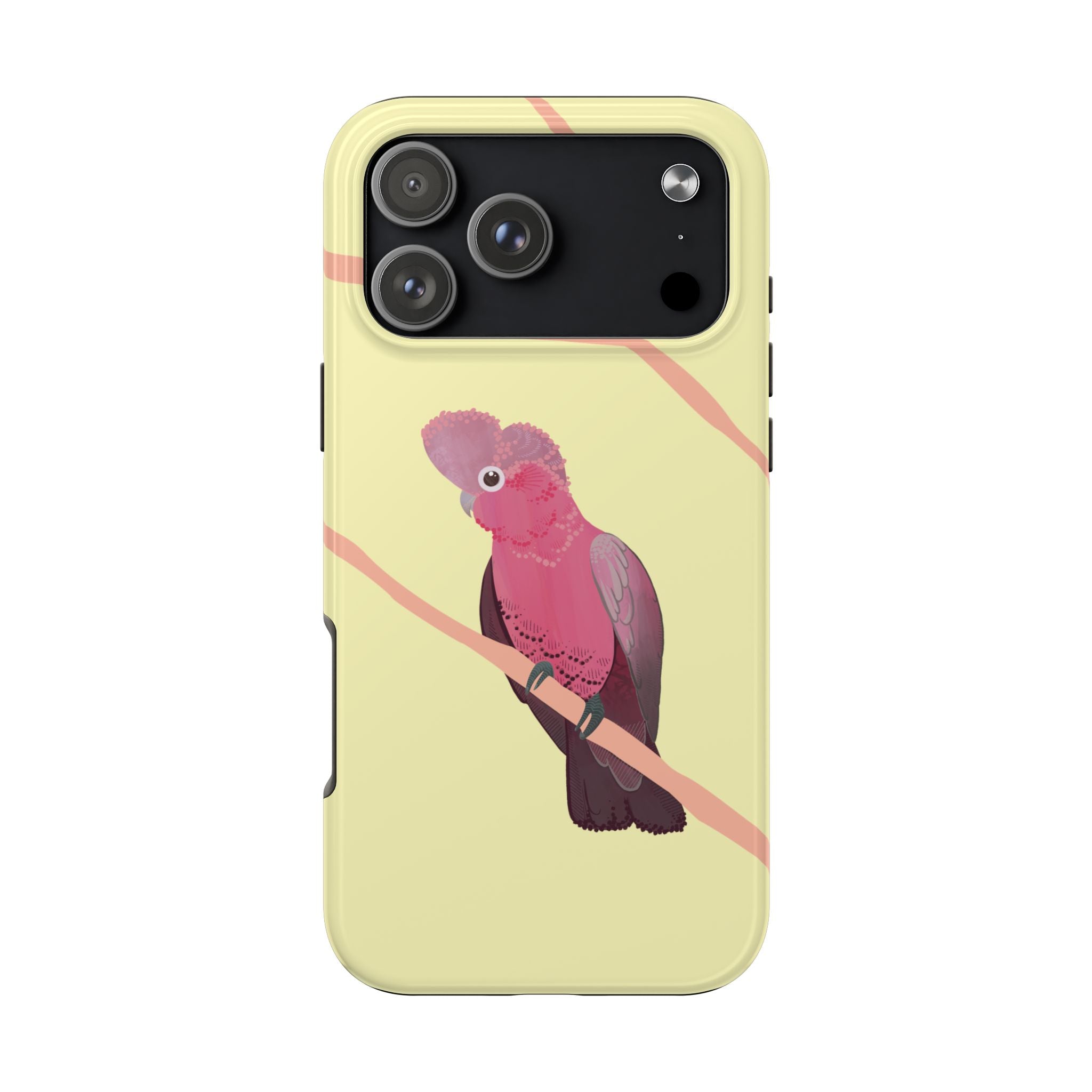 Galah by Bailey Hunter