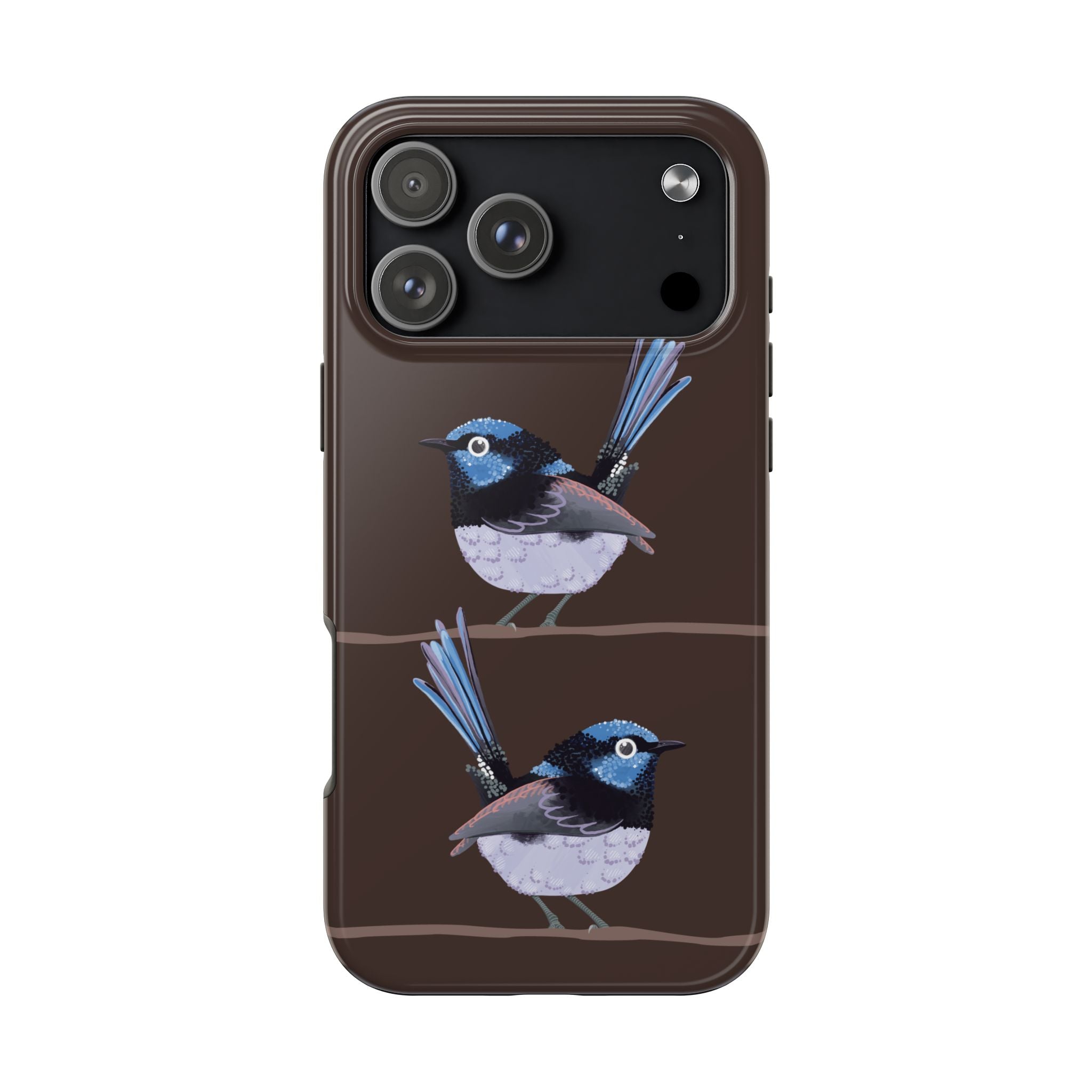 Fairy Wren by Bailey Hunter