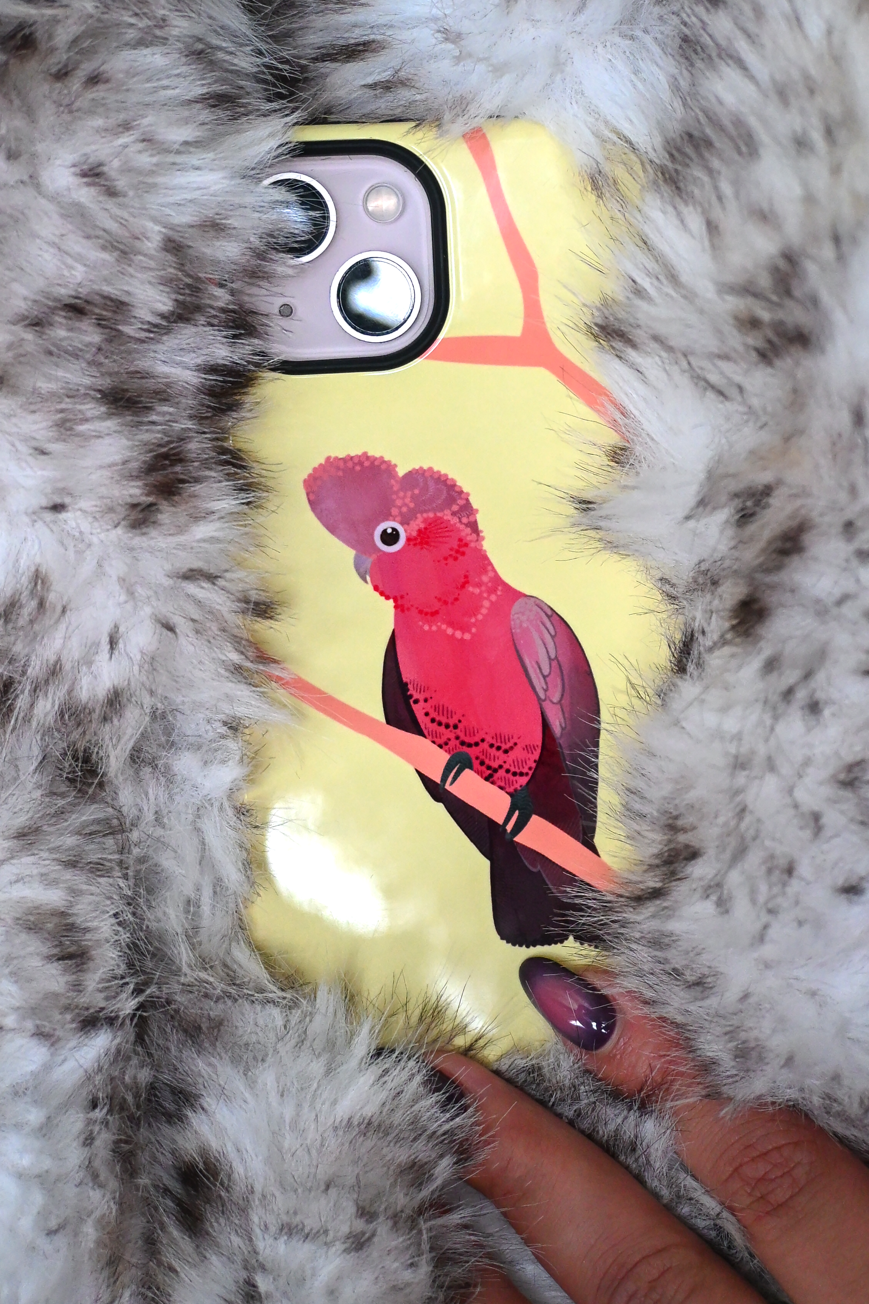 Galah by Bailey Hunter