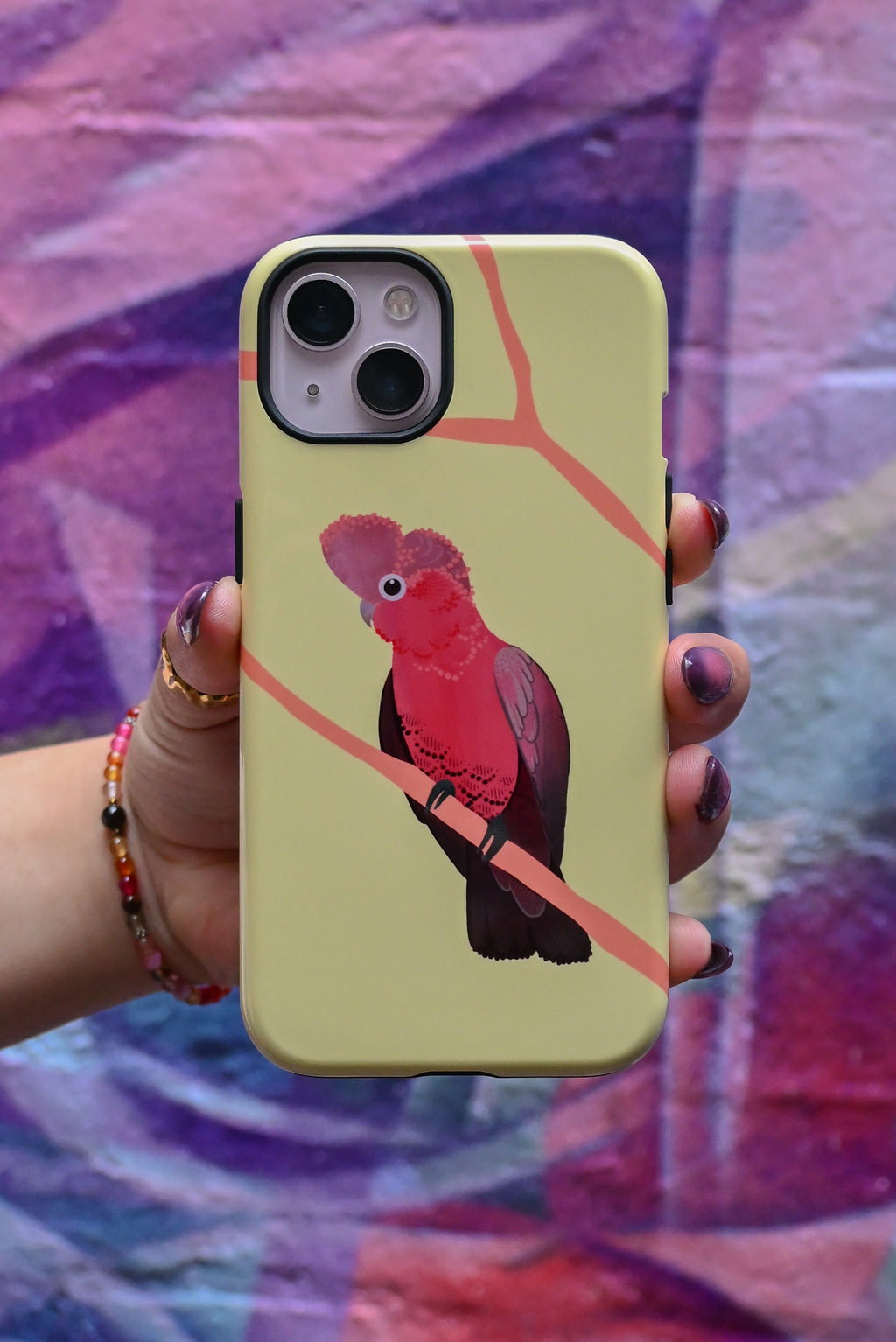 Galah by Bailey Hunter